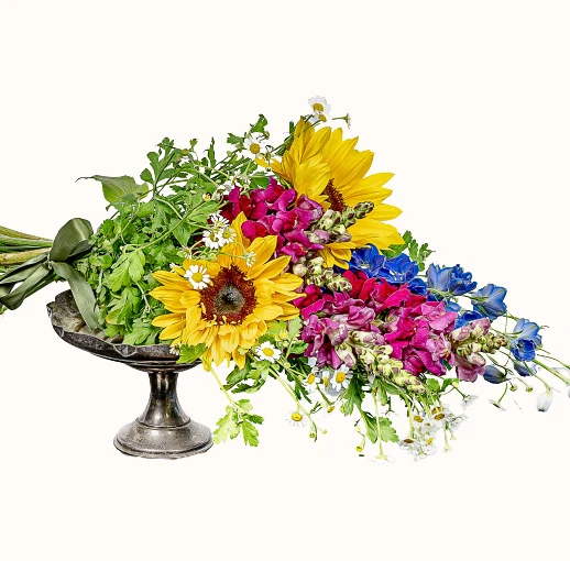 Eternal Spring